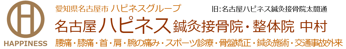 名古屋ハピネス鍼灸接骨院 中村